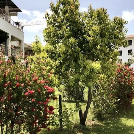 Apartment Domaine D'arca, T2 Jardin Prive/piscine/tennis *