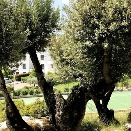 Апартаменти Domaine D'arca, T2 Jardin Prive/piscine/tennis Порто-Веккіо